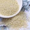 MIYUKI Round Rocailles Beads X-SEED-G007-RR0577-1