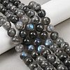 Natural Labradorite Beads Strands G-Z133-A01-13mm-02-1