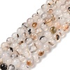Natural Dendritic Agate Beads Strands G-A248-A07-01-2