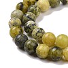 Natural Yellow Turquoise(Jasper) Beads Strands G-Q462-6mm-22-7