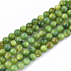 Freshwater Shell Beads Strands SHEL-S276-32D-1