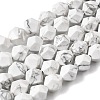 Natural Howlite Beads Strands G-Z119-A43-02-3