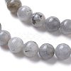 Natural Labradorite Beads Strands G-I261-D02-6mm-3