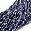 Natural Sodalite Round Bead Strands G-P072-27-10mm-1