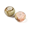 Opaque Spray Painted Glass Beads GLAA-G118-01P-2