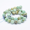 Natural Chrysocolla Beads Strands G-J373-02-12mm-2