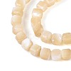 Natural Trochid Shell/Trochus Shell Beads Strands BSHE-T014-52A-02-3