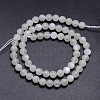 Natural White Moonstone Round Bead Strands G-M262-6mm-04-2