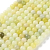 Natural New Jade Round Beads Strands G-O039-16-10mm-01-1