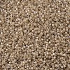 MIYUKI Delica Beads SEED-MY11-DB1731-3