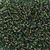 TOHO 8/0 Round Beads SEED-XTR08-1014-2