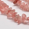 Cherry Quartz Glass Chip Beads Strands X-G-L269-41-2