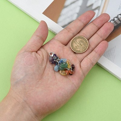 Natural Chip Gemstone Pendant Decorations HJEW-JM00213-1