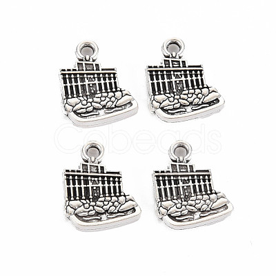 Tibetan Style Alloy Charms TIBEP-N011-016-1