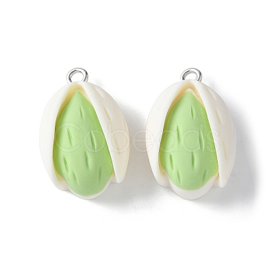 Opaque Resin Pendants RESI-Z033-01P-1