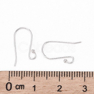 925 Sterling Silver Earring Hooks STER-G011-20-1