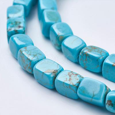 Natural Magnesite Beads Strands TURQ-K003-11C-1