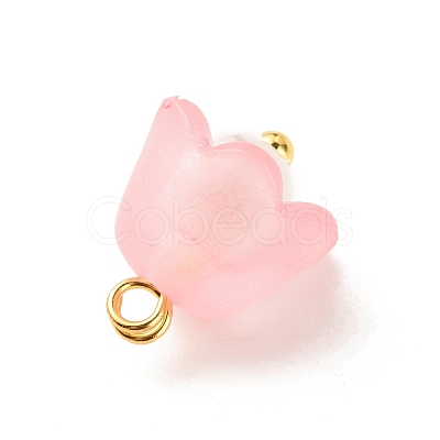 Transparent Acrylic Charms PALLOY-JF01603-01-1
