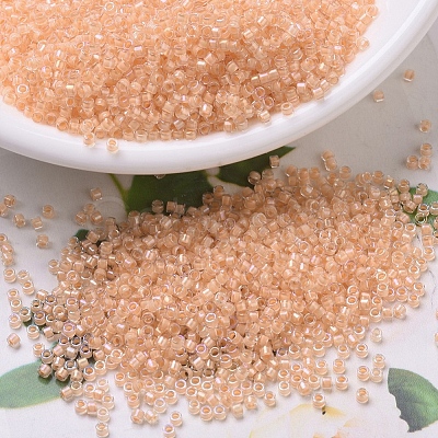 MIYUKI Delica Beads SEED-X0054-DB0067-1