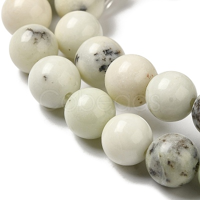 Natural Dendritic Jasper Beads Strands G-H298-A15-03-1