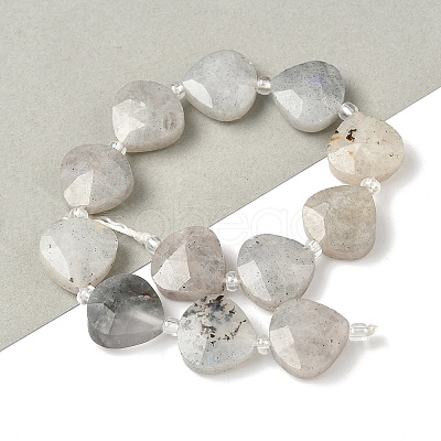 Natural Labradorite Beads Strands G-D316-A17-1