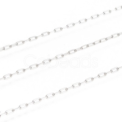 Tarnish Resistant 304 Stainless Steel Paperclip Chains CHS-F010-01A-P-1
