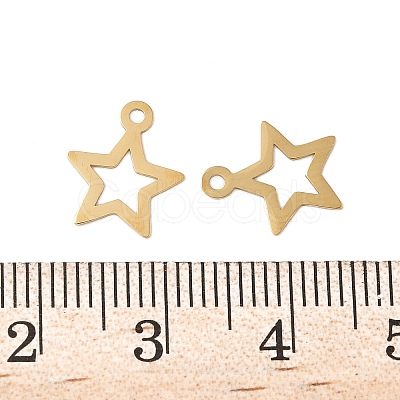 304 Stainless Steel Charms STAS-K306-06B-G-1