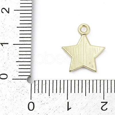 Independence Day Alloy Enamel Charms PALLOY-V001-07A-1