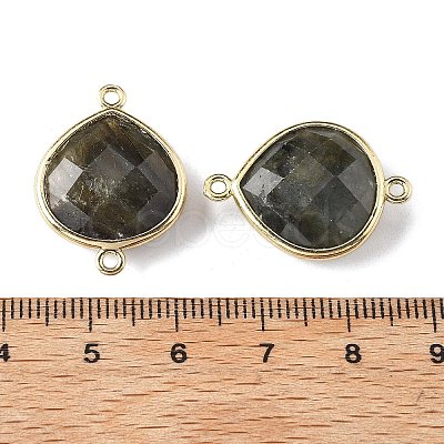 Brass Connector Charms G-H323-01G-10-1