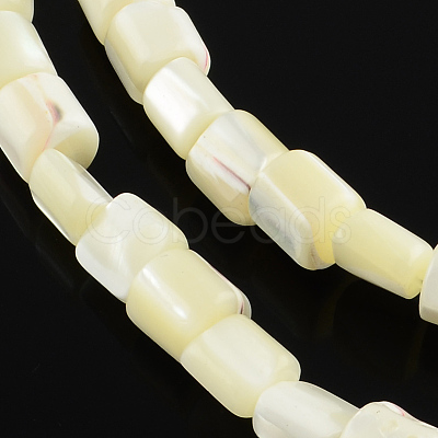 Column Natural Trochid Shell/Trochus Shell Beads Strands BSHE-Q025-01-1