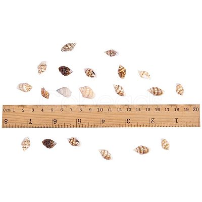 Natural Spiral Shell Beads SSHEL-PH0002-03-1