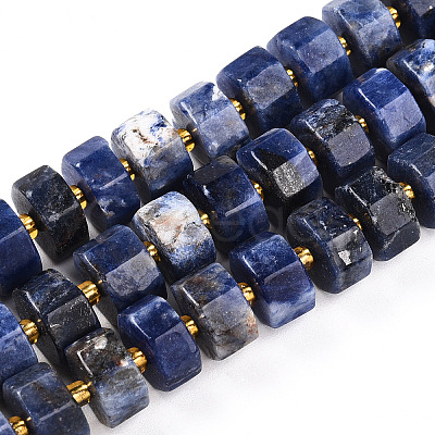 Natural Sodalite Beads Strands G-T140-26-1