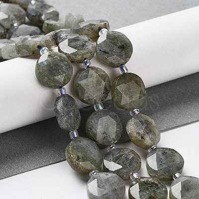 Natural Labradorite Beads Strands G-NH0004-001-1