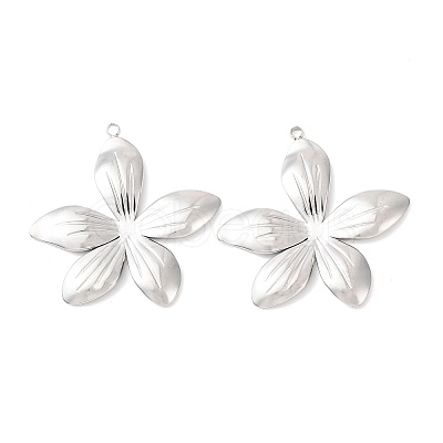 304 Stainless Steel Pendants STAS-A133-02C-P-1