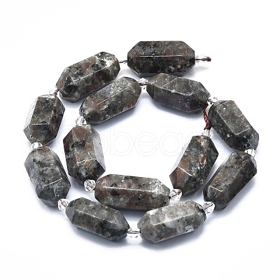 Natural Fluorescent Syenite Rock(Glow under UV Light) Beads Strands G-F715-055-1