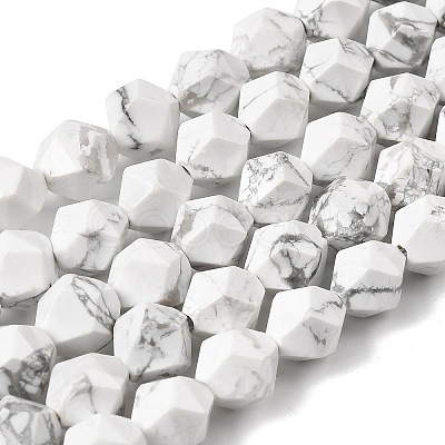 Natural Howlite Beads Strands G-Z119-A43-02-1