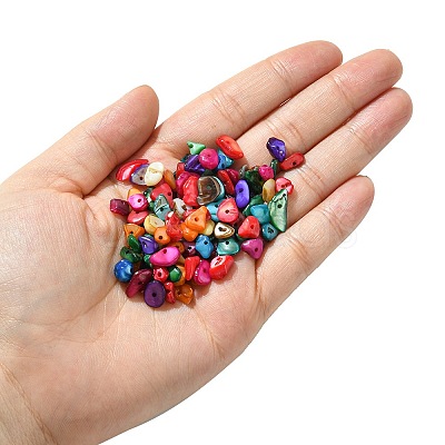 1 Strand Natural Chip Dyed Shell Beads Strands G-FS0005-77-1