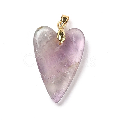 Natural Fluorite Pendants X-G-E570-01G-01-1