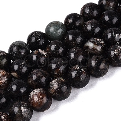 Natural Biotite Beads Strands G-Q616-01E-1