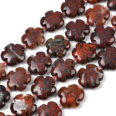 Natural Brecciated Jasper Beads Strands G-C220-E02-20mm-1