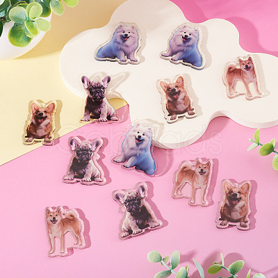 12Pcs 4 Styles Printed Acrylic Pendants OACR-TA0004-14B-1