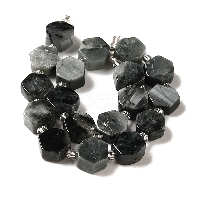 Natural Eagle Eye Stone Beads Strands G-P534-A14-01-1