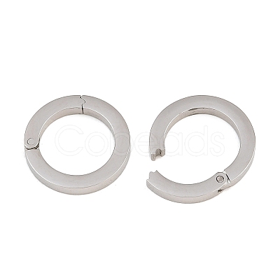 304 Stainless Steel Spring Gate Rings SA-CBA02E8-15B-P-1