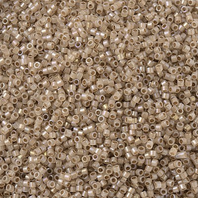 MIYUKI Delica Beads SEED-MY11-DB1731-1