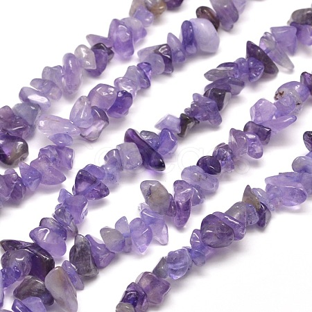Natural Amethyst Chip Bead Strands G-M205-04-1