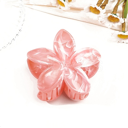 Resin Claw Hair Clips PW-WG0E0E6-06-1