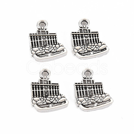 Tibetan Style Alloy Charms TIBEP-N011-016-1