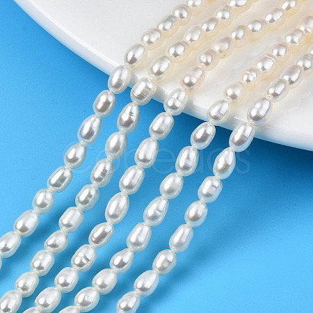 Natural Cultured Freshwater Pearl Beads Strands PEAR-N012-04D-1