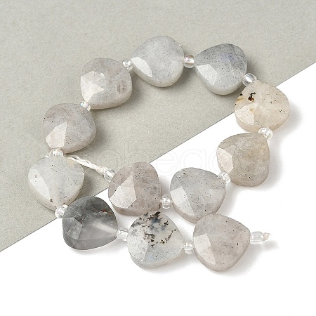 Natural Labradorite Beads Strands G-D316-A17-1