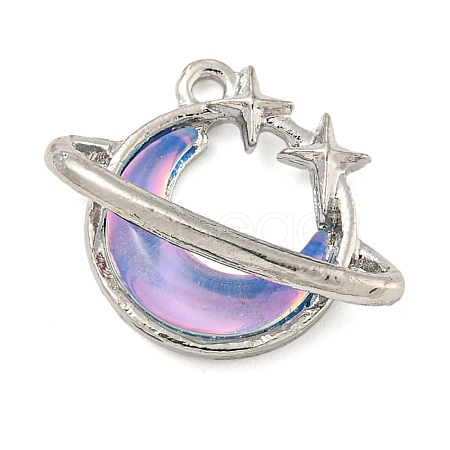 Alloy & Resin Pendants FIND-G508-02A-02-1